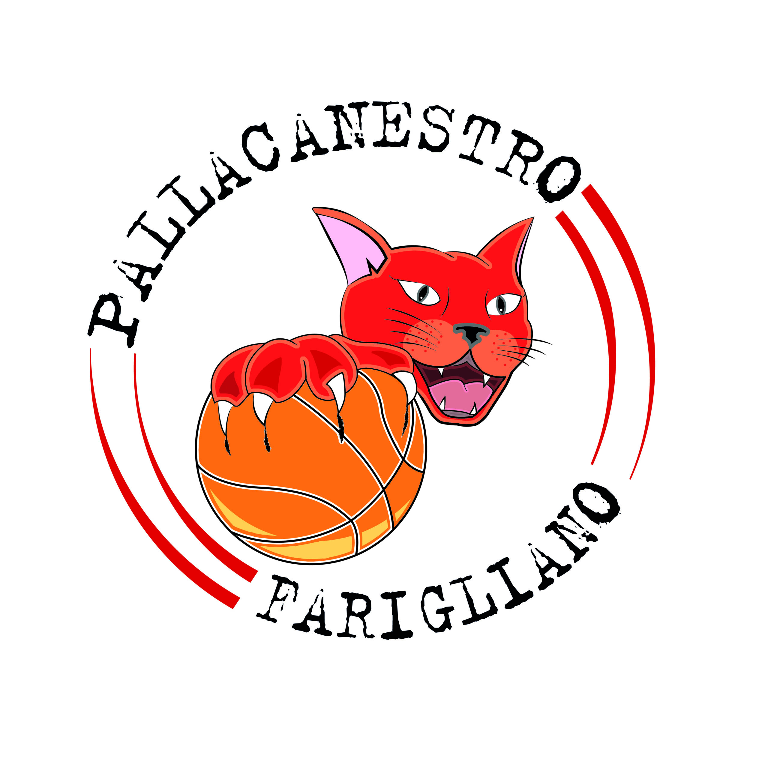 pallacanestrofarigliano